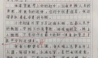 我的朋友英文作文100字 关于朋友的作文